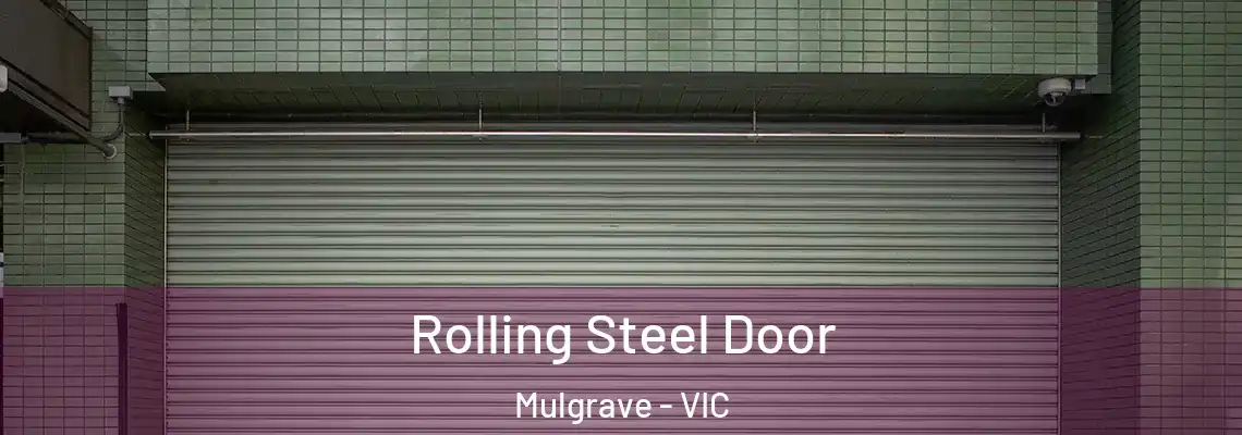 Rolling Steel Door Mulgrave - VIC
