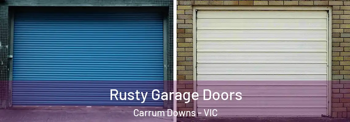  Rusty Garage Doors Carrum Downs - VIC